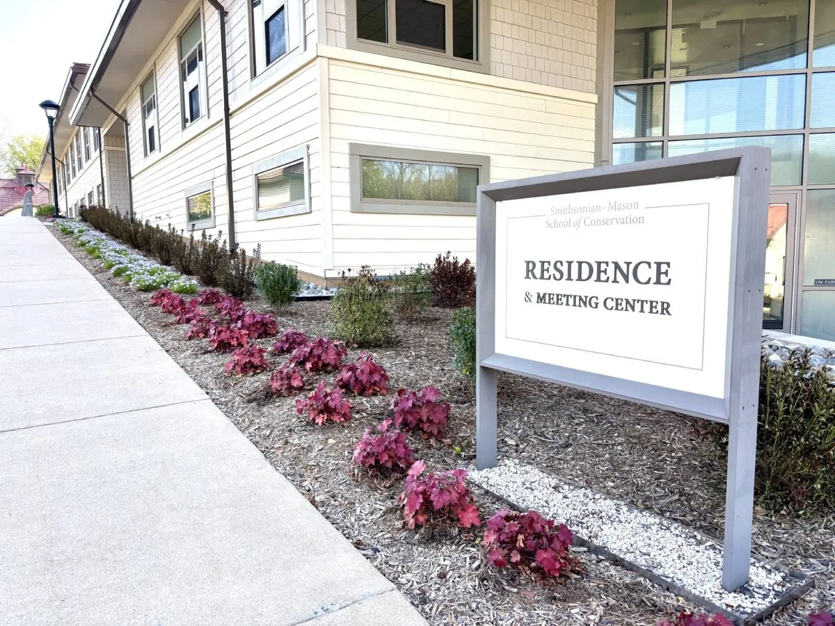 New shrubs are planted alongside of the residence hall.