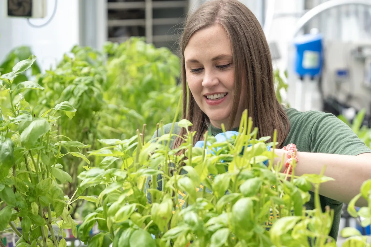 Some of the best produce come from the greenhouse and gardens program. The food is served in the dining halls, prepared by Mason Dining's chefs.
